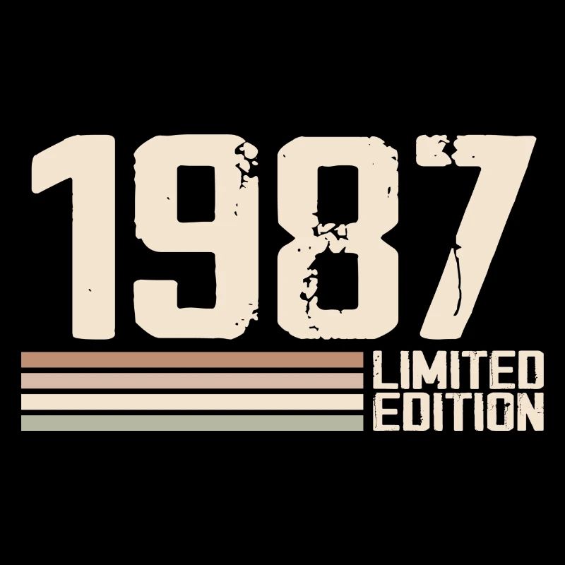 1987 Vintage 1987 Birthday 1987 Retro 1987