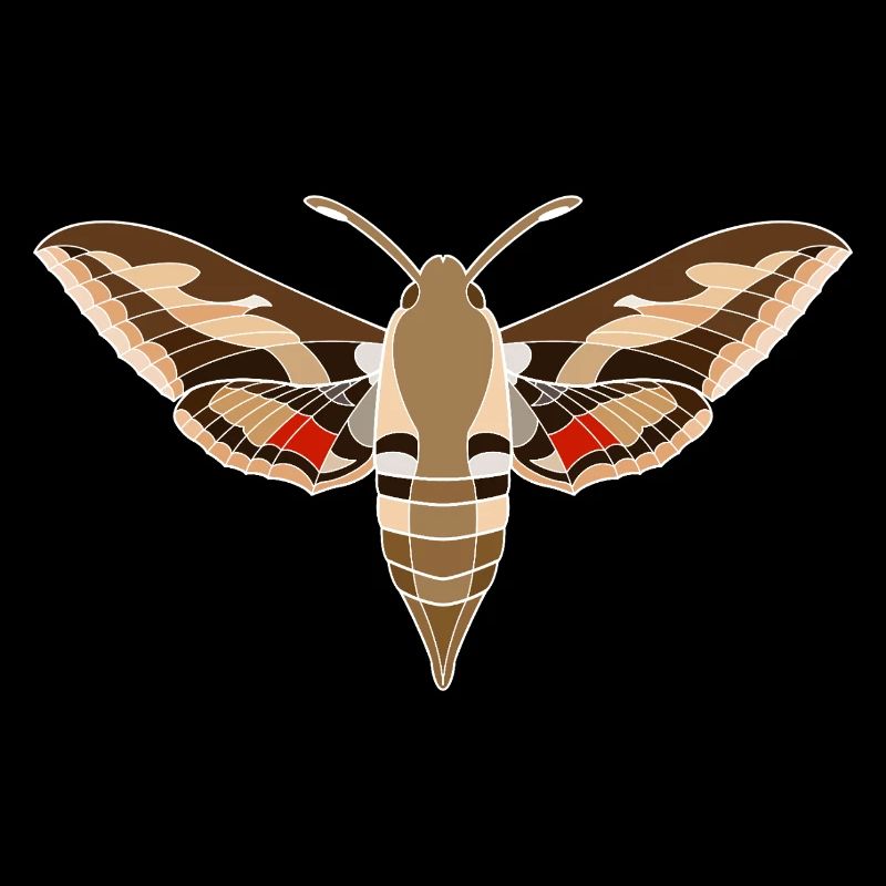 Bedstraw hawkmoth