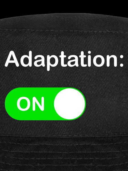 Adaptation ON
