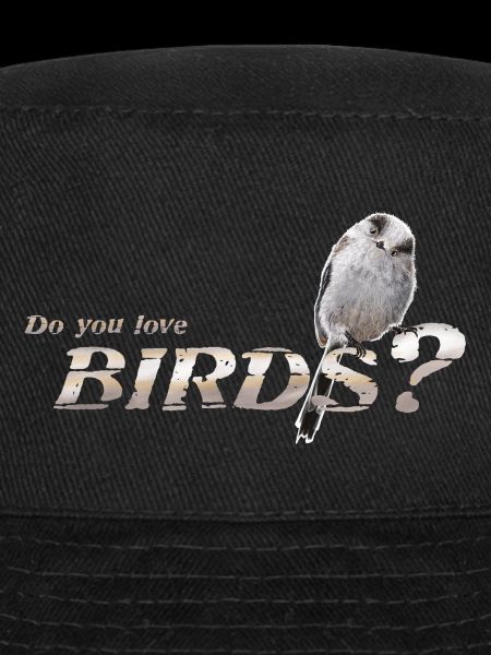 Tu aimes les oiseaux ?