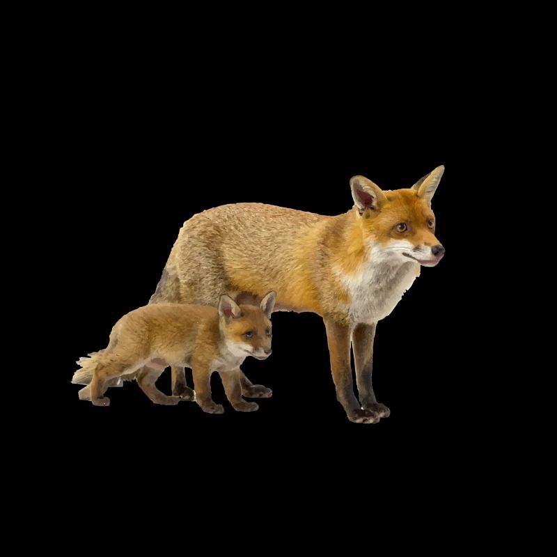 Fuchs