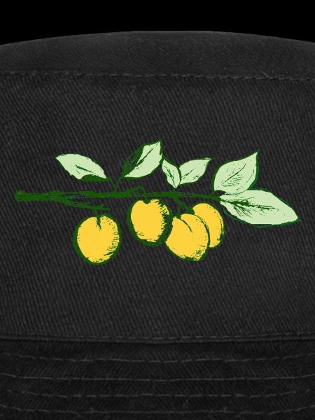 The apricot