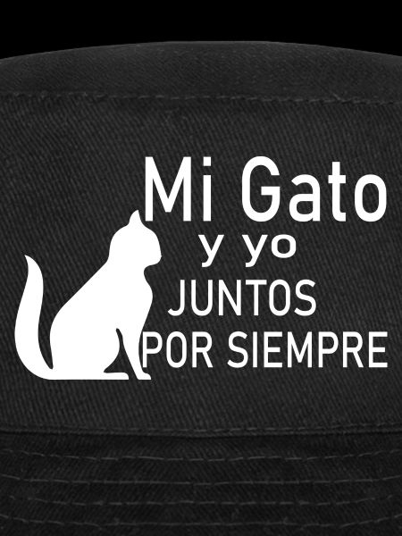 Chat Katze