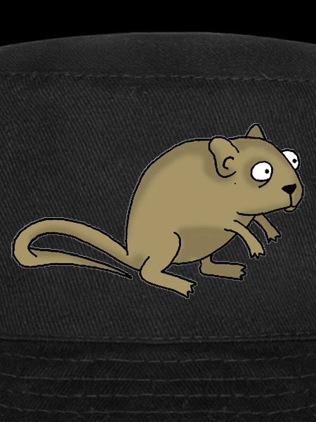 Maus