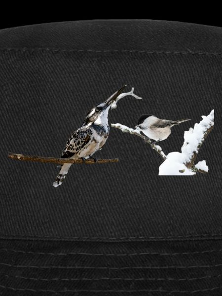 oiseaux mignon