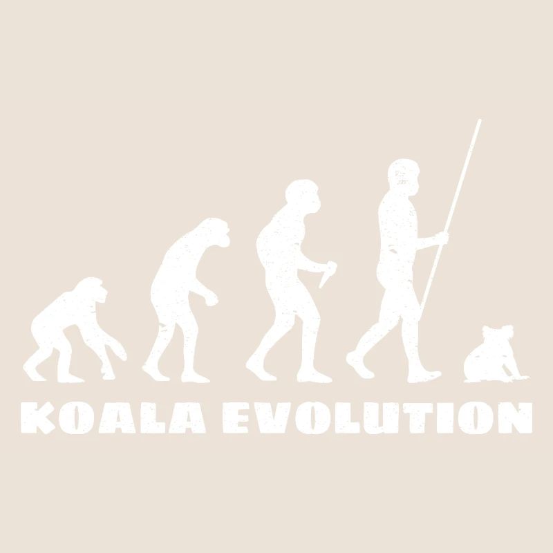 Évolution du koala