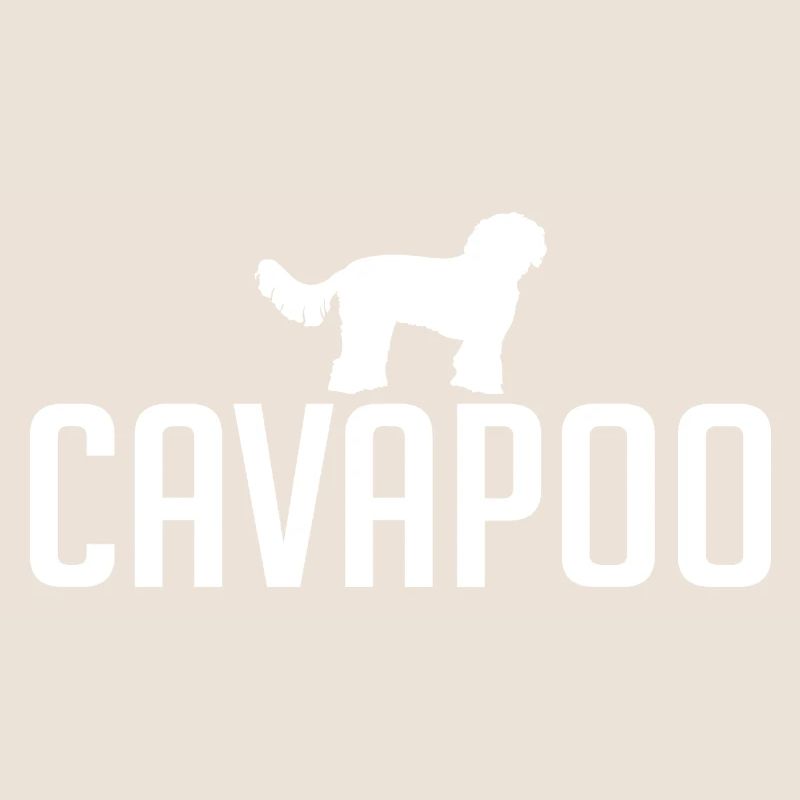 Cavapoo Hunderasse Hunde Wilsigns