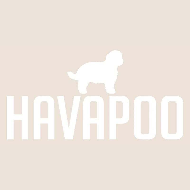 Havapoo Hunderasse Hunde Hund Wilsigns
