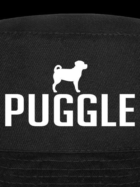 Puggle Dog race Chiens Wilsigns