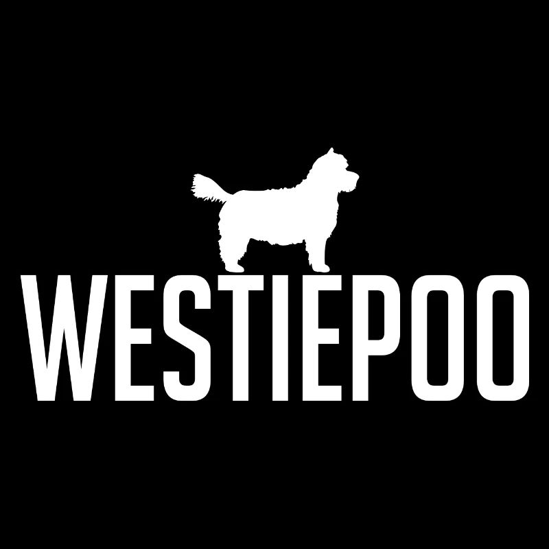 Westiepoo Hunderasse Hunde Hund Wilsigns