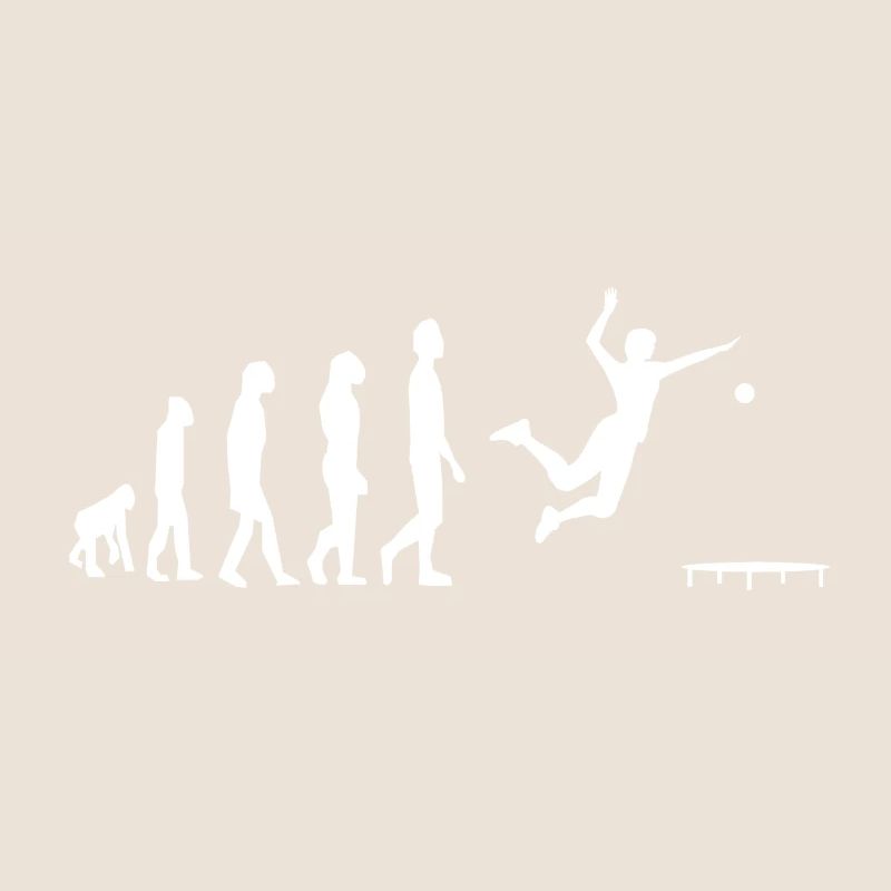 Spikeball Roundnet Evolution