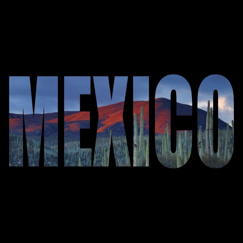 mexique mexique cactus