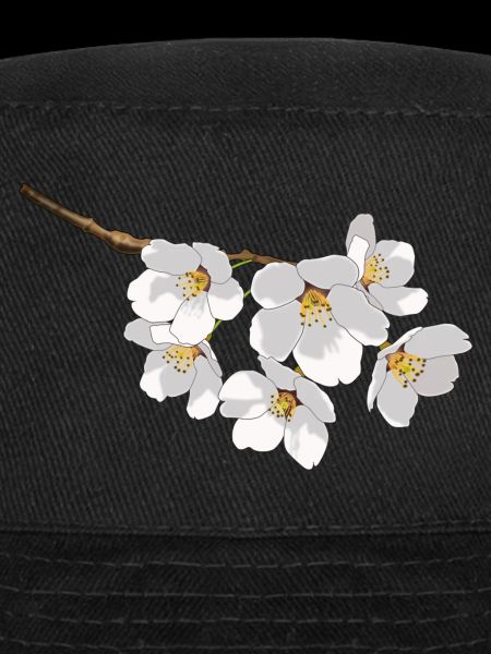 Japanese cherry blossoms white