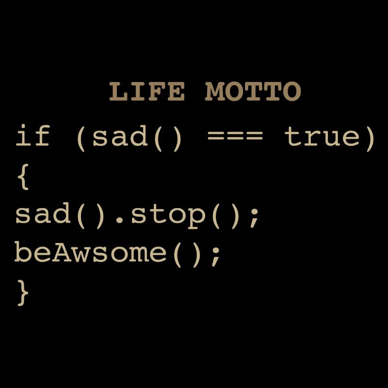Developer IT Life Motto