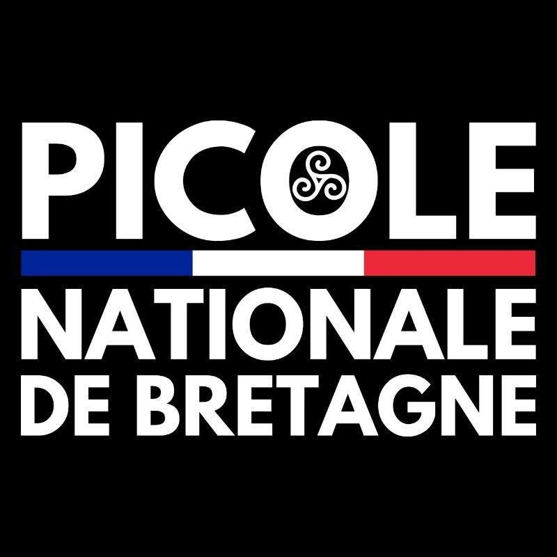 Picole Nationale de Bretagne Drapeau