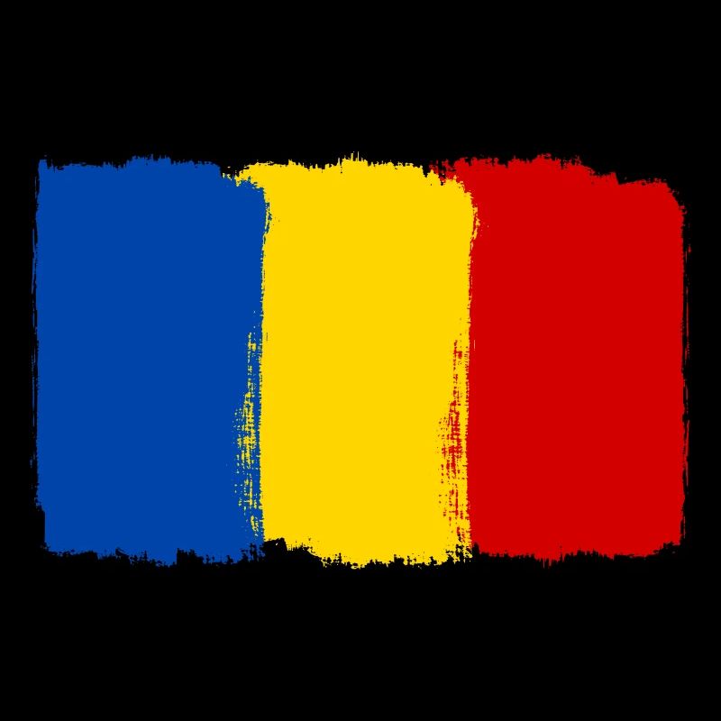 Drapeau de la Roumanie utilisé look