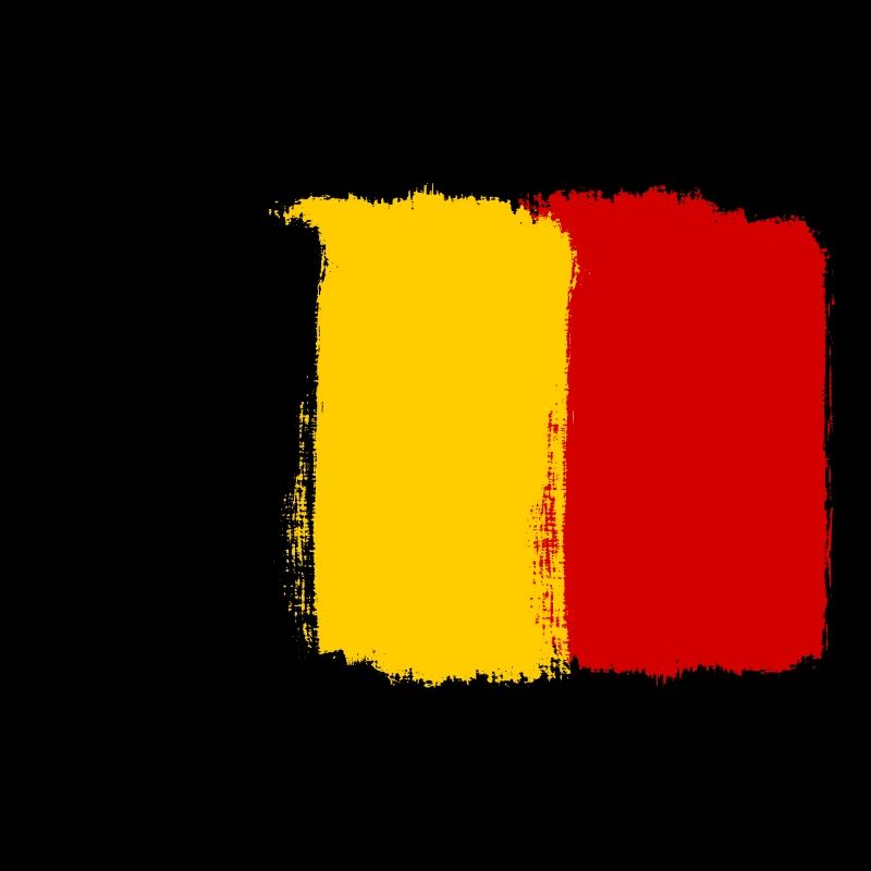 Look du drapeau belge utilisé