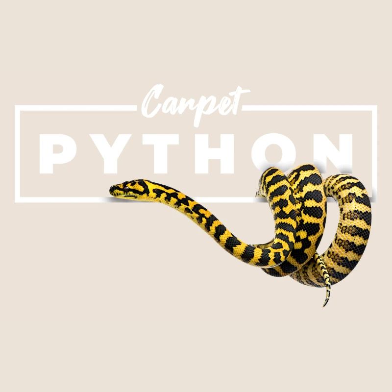 Teppichpython Geometrische Reptilienbesitzerin