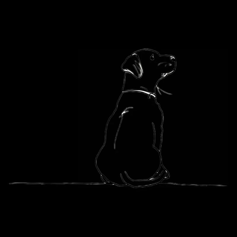Dog doodle