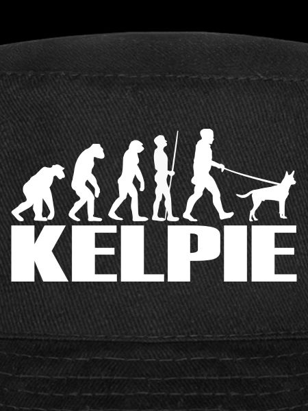 Kelpie Australian Chien Evolution
