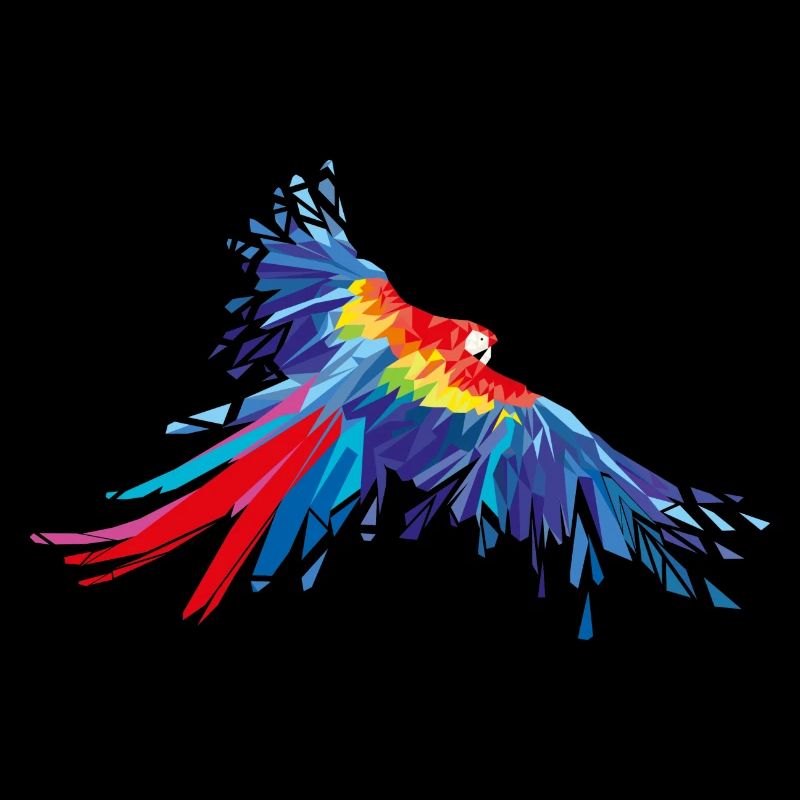Parrot feathers Aras bird birds wing parrot bird
