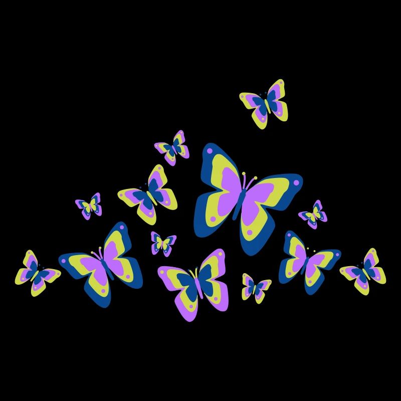 Butterfly Butterfly Insects Spring Summer colorful