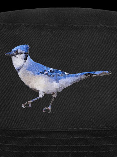 Bird ~ the Blue Jay