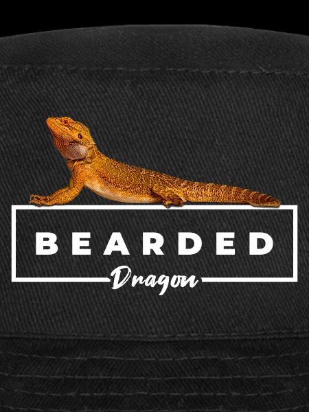 Bearded Dragon Reptile Owner