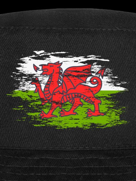 Wales flag used
