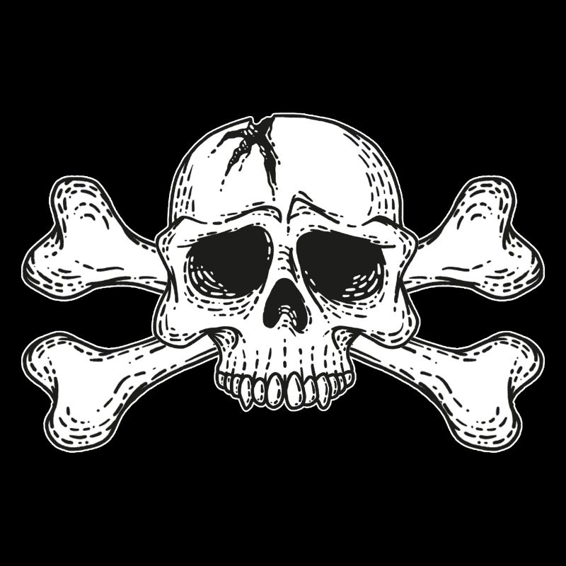 skull with bones