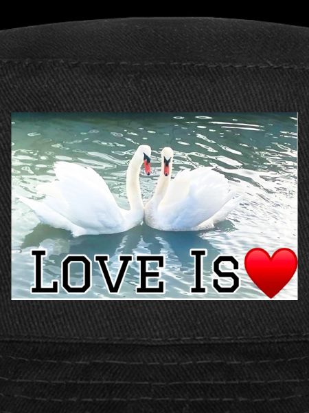 Love is Swan's Heart