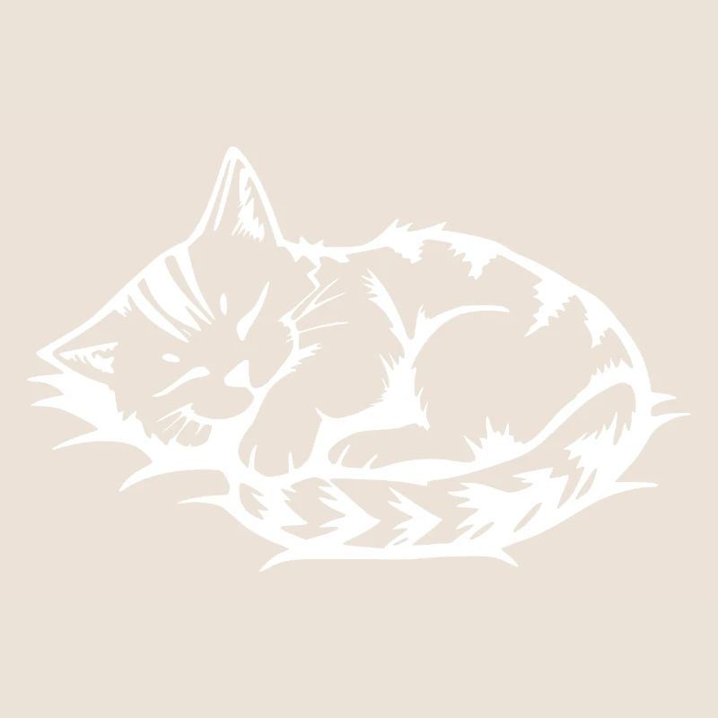Chat Blanc Endormi