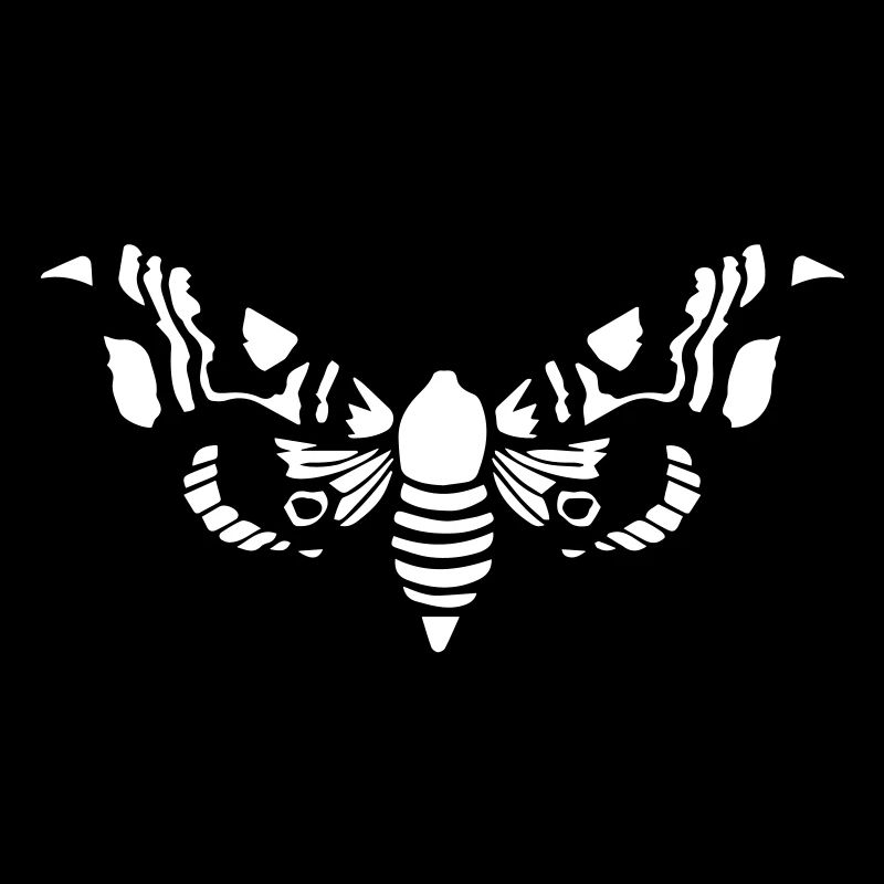 Papillon de nuit / Moth