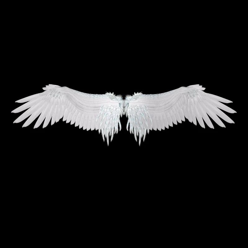 ailes d'ange
