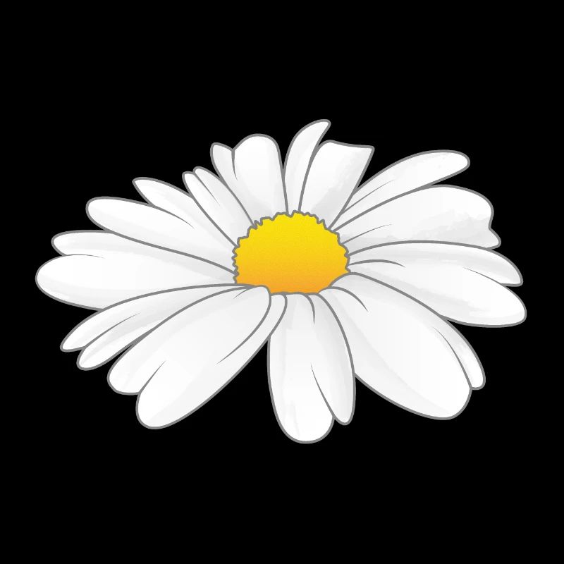 Gänseblümchen