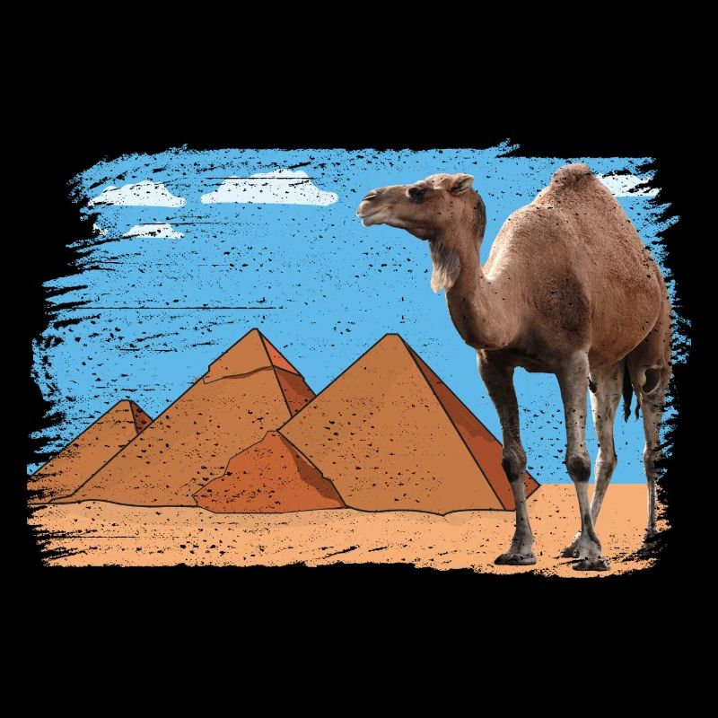 Chameau devant les pyramides