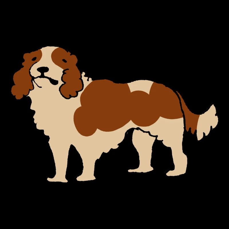 Cavalier King Charles Spaniel
