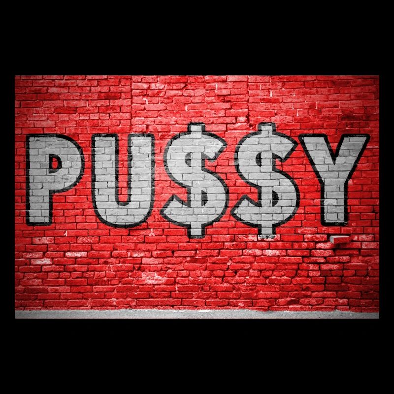 Pussy with Dollar Signs $ Brick Wall Graffit