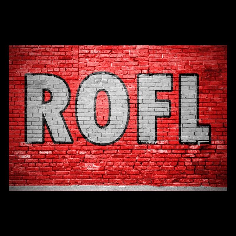 ROFL Brick Wall Graffiti