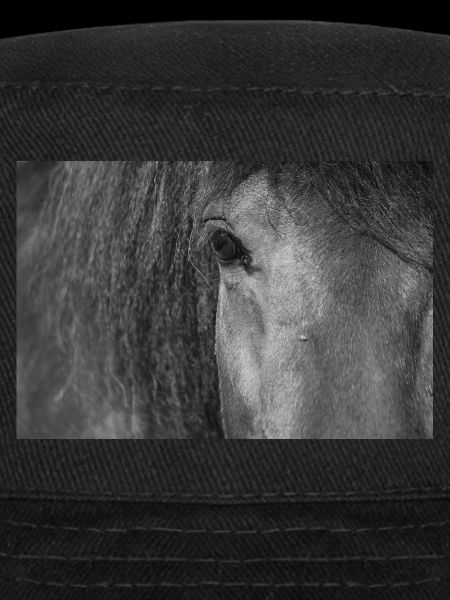 Oeil de cheval