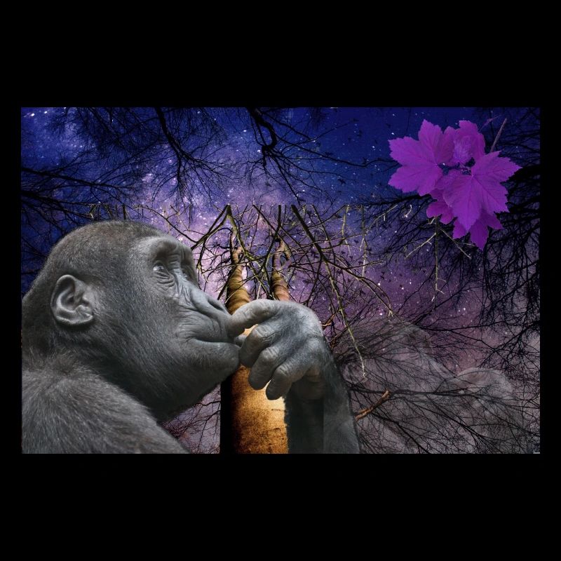Singe.