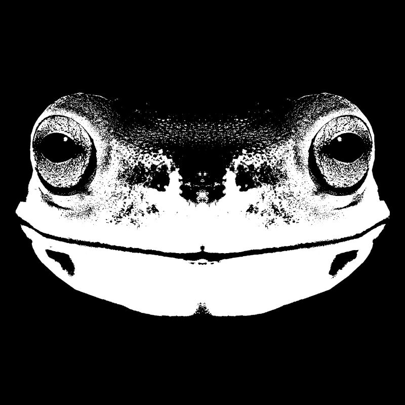 Frog / Face / Head / Portrait / White