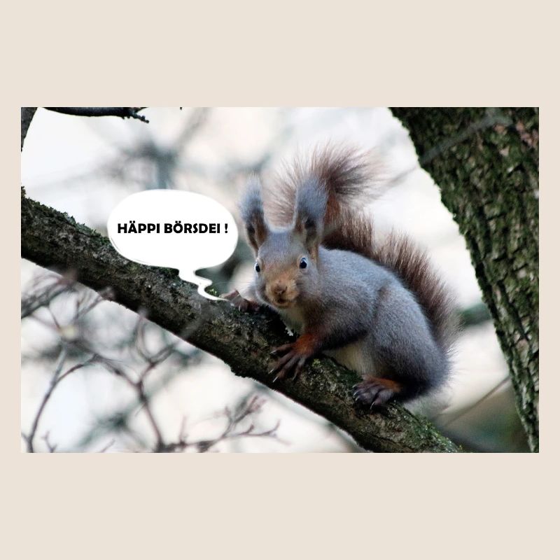 Eichhörnchen, Isibat