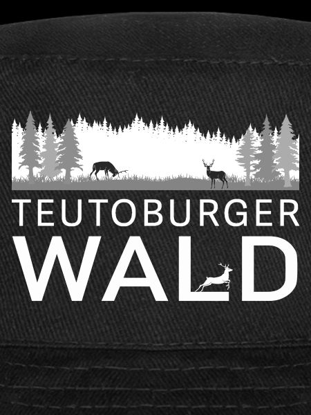 Teutoburger Wald