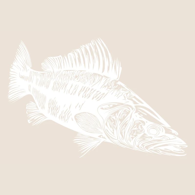 Predator Zander for Hobby Predator Anglers