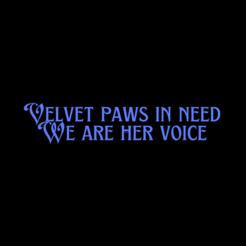 Velvet paws in need