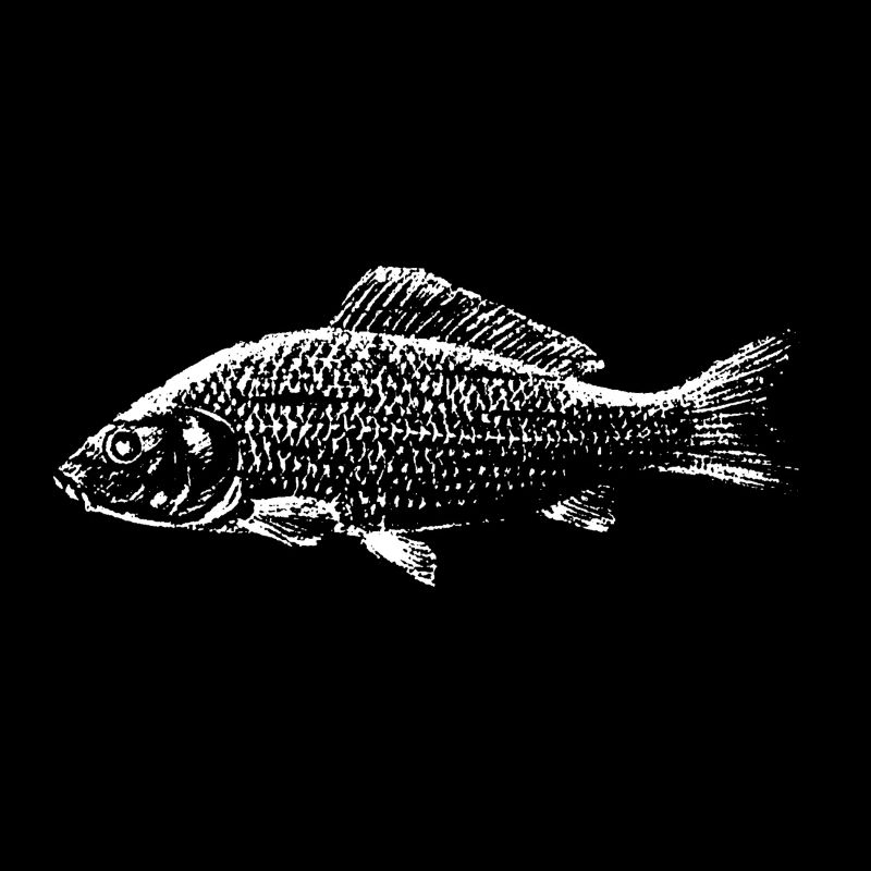 Poisson carpe