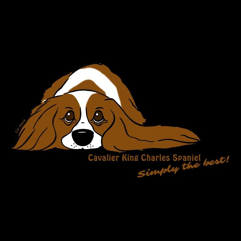Cavalier liegend