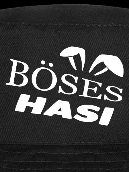 Hasi