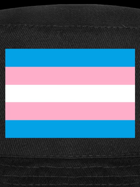 Drapeau de la fierté transgenre